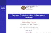 Geodesic Equivalence in sub-Riemannian Geometry · Geodesic Equivalence in sub-Riemannian Geometry Andrew Zane Castillo Supervisor: Dr.Igor Zelenko Texas A&M University, Mathematics