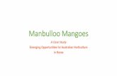 Manbulloo Mangoes · •Emerging competition –Peru (same time slot) The Rewards Manbulloo Brand presence in Korean mango market ... involved in Korea –an innovative, ever evolving