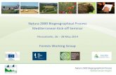 Natura 2000 Biogeographical Process Mediterranean Kick-off ...ec.europa.eu/.../mediterranean_seminar_forests_group_outcomes_en… · Natura 2000 Biogeographical Process Mediterranean