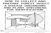 How to collect and prepare forest insect & disease …hear.org/articles/pdfs/usda_fs_sa_gr13.pdfHOW TO COLLECT AND PREPARE FOREST INSECTS, DISEASE ORGANISMS AND PLANT SPECIMENS FOR
