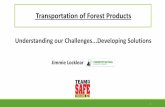 Transportation of Forest ProductsGuaranteed pay for truck drivers is becoming a more common driver retention tactic for fleets, says the National Transportation Institute’s Gordon