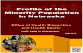 Profile of Minority Populations - 2015dhhs.ne.gov/Reports/Profile of Minority Populations...2000/04/01  · The Hispanic/Latino population increased from 36,969 in 1990 to 94,425 in