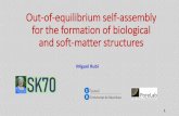 Out-of-equilibrium self-assembly for the formation of ... · Daniel Barragan (Univ. Nacional Colombia) 1. Out of equilibrium self-assembly 2. Gelation 3. Liesegang patterns 4. Determining