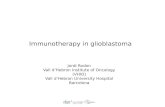 Immunotherapy in glioblastoma · Clinical trials for glioma using immunotherapy Calinescu, Immunotherapy 2015. Slide provided by E. Pineda • Peptide vaccination • EGFRVIII •