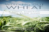 WEEDING OUT - Intoxicated On Lifeintoxicatedonlife.com/.../01/Weeding-Out-Wheat-eBook.pdfliving longer, healthier lives the wheat-free way, and Weeding Out Wheat shines a bright light