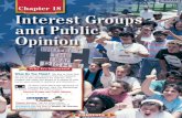 Chapter 18: Interest Groups and Public Opinion · 2018-07-27 · CHAPTER 18: INTEREST GROUPS AND PUBLIC OPINION 503 I n addition to political parties,Americans have historically formed