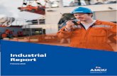 Industrial Report - AMOUIndustrial Reports Jan 2020 Industrial Report February 2020 MEMERS MONTHLY MEETINGS EASTERN AREA DATE: 25th February 2020 – 1000 Hours Sydney Office - Ground