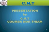 PRESENTATION by C.N.T COUMBA NOR THIAMriceforafrica.net/images/stories/PDF/S1-4EN.pdf · 2020-03-24 · PRESENTATION Co.umba Nor THIAM S.U.A.R.L. (CNT) is run by Mr. Ibrahima Sall,