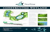 CONSTRUCTED WETLAND - Starling at Big Lake ... CONSTRUCTED WETLAND Constructed wetlands are shallow