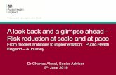 A look back and a glimpse ahead - Risk reduction at scale ... · dementia risk reduction. Published NICE guidance on mid-life approaches to delay or prevent the onset of dementia,
