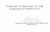 Collection of Specimen for Lab Diagnosis of SARSCoV-2orhb.gov.et/...Zeleke_Collection_of_Specimen_for_Lab_Diagnosis_Zel… · üProper collection of specimens is the most important