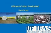 Efficient Cotton Production - nwdistrict.ifas.ufl.edunwdistrict.ifas.ufl.edu/phag/files/2016/03/Wright_Efficent-Cotton... · Potassium (K) in soil profile of sod-based rotation after