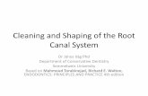 Cleaning and Shaping of the Root Canal System · PRINCIPLES OF CLEANING AND SHAPING TECHNIQUES The criteria of canal preparation include ± developing a continuously tapered tunnel