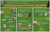 Home | US Forest Service...improvement cooperatives, the National Seed Lab, the NFS Genetics Lab, nongovernmental organizations, private nurseries, State agencies and nurseries, tribal