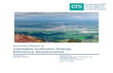Cannabis Cultivator Energy Efficiency Assessments...Cannabis Cultivator Energy Efficiency Assessments Summary Report 4 Table 1-5. Total Likely Achievable Energy Efficiency Improvements