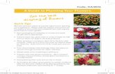 A Guide to Planting Your Flowers - Van Meuwen | UK Garden ... · Get the best display of flowers A Guide to Planting Your Flowers Quick Tips We have sent your plants at just the right