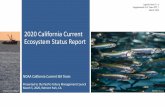 2020 California Current Ecosystem Status Report...5 2020 California Current Ecosystem Status Report | NOAA California Current IEA Team. El Niño. La Niña Strong El Niño, 2015-2016