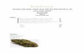 Budalicious - Laulimadepression and stress . Several different Northern Lights phenotypes circulate the market, but Sensi Seeds recommends a general indoor flowering time of 45 to