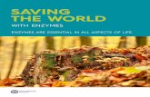 SAVING THE WORLD - Microsoft€¦ · your own Gold CREST Award project. SAVING THE WORLD . WITH ENZYMES. To achieve your Gold CREST Award you are required to meet a set of . criteria.