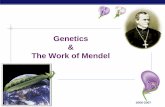 Genetics The Work of Mendel · Mendel collected data for 7 pea traits. AP Biology F 2 generation 75% 3:1 purple-flower peas 25% white-flower peas ... same location on homologous chromosomes.