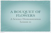 A BOUQUET OF FLOWERS - Smyrna Bouquet of...2013/03/30  · A BOUQUET OF FLOWERS A Science Demonstration Lesson 22 1 Fri, Mar 29, 13 1 2 ee_ﬂickr Fri, Mar 29, 13 2 mulsanne_ﬂickr