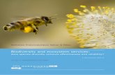 Biodiversity and ecosystem services - WUR...biodiversity ensures delivery of services during environmental disturbances. Based on the literature review it can be concluded that the