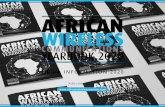AFRICAN WIRELESS · Africa; NigeraCom; Coud MENA; Seamless East Africa; LTE Africa; VSat Africa; Mobile Money Africa and AfricaCom and as we finalise these partnerships we will also