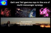 GeV and TeV gamma rays in the era of multi-messenger synergy · Geminga • Well known, 340 kyr-old X-ray and gamma-ray pulsar with a compact X-ray PWN and a huge gamma-ray halo.