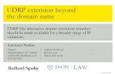 UDRP extension beyond the domain name€¦ · • All domain names begin with a contract • The Registrar MUST require that domain names not be used for illegal activity • Typical