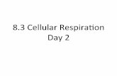 8.3 Cellular Respiraon Day 2 - mrsshior.weebly.com€¦ · 8.3 Cellular Respiraon Day 2 Krebs Cycle Krebs cycle- The reactions that ... -aerobic respiration (needs O 2)!-most of the