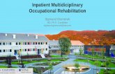 Inpatient Multidiciplinary Occupational Rehabilitation · 2018-12-15 · "Occupational rehabilitation programs for musculoskeletal pain and common mental health disorders: study protocol