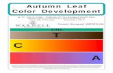 Autumn Leaf Color Development · Autumn coloration in trees is a symptom of deciduous leaf senescence. Senescence is an orga-nized, planned, and essential part of tree life. Senescence
