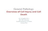 General Pathology Overview of Cell Injury and Cell Death · Capable of causing cell injury include mechanical trauma, extremes of temperature (burns and deep cold), sudden changes
