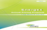 Annual Pricing Proposal 2014-15 - energex.com.au€¦ · regulatory year of the regulatory control period, a further pricing proposal (an annual pricing proposal) for the relevant