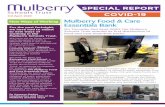 3rd April 2020 New Ways of Working Mulberry Food & Care … · 2020-07-16 · Pinky Lilani, Tesco were contacted and we were put in touch with their wholesaler, Booker. Charles Wilson,