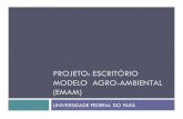 PROJETO: ESCRITÓRIO MODELO AGRO-AMBIENTAL (EMAM) · Agrarian & environmental problems in Brazilian Amazon and the State of Pará Rural conflicts over land tenure. 1997/2006 - 386