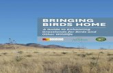 A Guide to Enhancing Grasslands for Birds and Other Wildlifeaz.audubon.org/sites/default/files/static_pages/attachments/tas_iba... · library/stateofunions.pdf) Arizona ranks third
