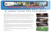 GOLDHEART NEWSLETTER WINTER 2012 · GOLDHEART NEWSLETTER WINTER 2012 7 We are very sad to report the loss of two of our Goldheart Goldens ‐ Chase and Sam who were known to us as