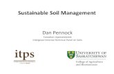 Sustainable Soil Management - soilcc.ca · “Soil management is sustainable if the supporting, provisioning, regulating, and cultural services provided by soil are maintained or