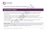 Core service: surgery · 2016-01-20 · 20151210 900467 NHS core service Inspection framework for surgery V3.01 Page 2 Pre-Operative Assessment Unit (cross reference with A&E/outpatients