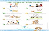 Puppy Socialization Safety Guidelines - paws2play · Until your puppy is fully vaccinated, avoid areas where dogs of unknown vaccination status go to the bathroom. Stay away from