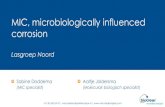 MIC, microbiologically influenced corrosion SD.pdfMIC (Microbiologically Influenced Corrosion) +31 50 520 54 70 | microbialanalysis@bioclear.nl | Korte introductie. Definitie MIC: