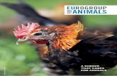 A EUROPE · 2020-03-11 · tail docking of pigs 1998 Zoos Directive 2001 R Ban on Sow Stalls 2005 Regulation on the protection of animals Official Control during Regulation transport