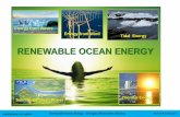 RENEWABLE OCEAN ENERGY · 2012-02-17 · UNIVERSIDAD DE OVIEDO Renewable Ocean Energy –Energías Renovables Marinas Manuel Rico Secades La presa de la Rance es la más antigua y