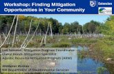Department of Information Technology - Workshop: …...Ashuelot River floodplain protection & enhancement, Swanzey FINDING GOOD LOCAL MITIGATION LAND PRESERVATION • Prioritize locations