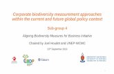 Corporate biodiversity measurement approaches within the ......2019/09/23  · Corporate biodiversity measurement approaches within the current and future global policy context Sub-group