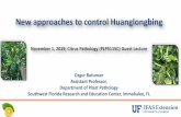 New approaches to control Huanglongbing · 11/1/2019  · deliver HLB-therapeutic materials (including, but not limited to, bactericides) to citrus trees. 2 Deciphering the path of