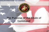 The Purpose of the Chain of Command - Greeley Schools...3 Sqds Platoon Commander 3 3 Sqds. Regimental Cmdr Battalion Cmdr Company Cmdr Platoon Cmdr Squad Leader Team Leader. Lesson