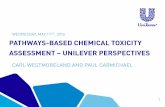 TH, 2016 PATHWAYS-BASED CHEMICAL TOXICITY … · transform toxicity testing from a system based on whole-animal testing to one founded primarily on in vitro methods that evaluate
