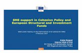 SME support in Cohesion Policy and European Structural and ... · Novelties for SMEs in 2014-20 Cohesion Policy: • Concentration: substantial share of funding can be earmarked for